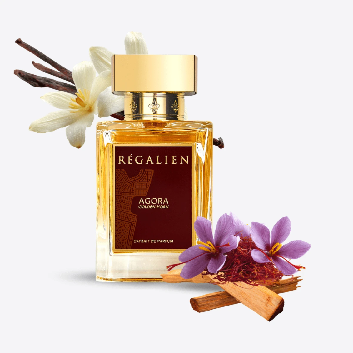 REGALIEN Agora