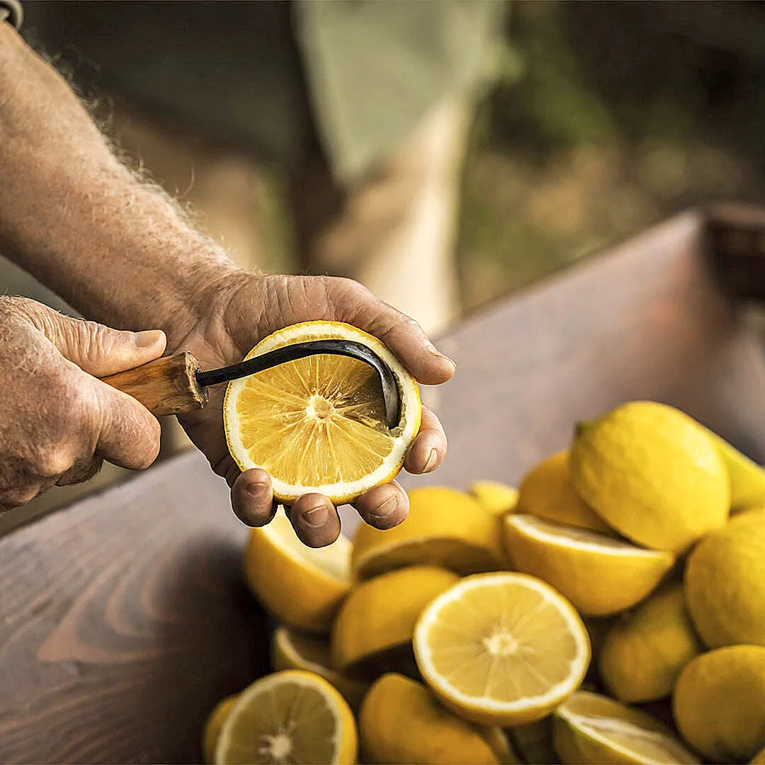 Acqua di Parma Bergamotto di Calabria